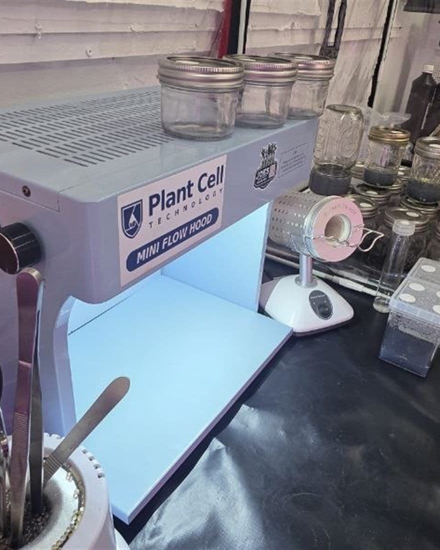 Plant Cell laminar flow hood inside Joe's Exotic Lab